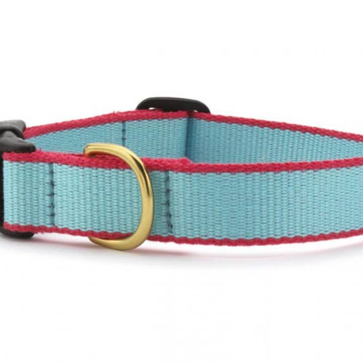 Color Market Dog Collar - Wide for wholesale by Up Country, Inc.