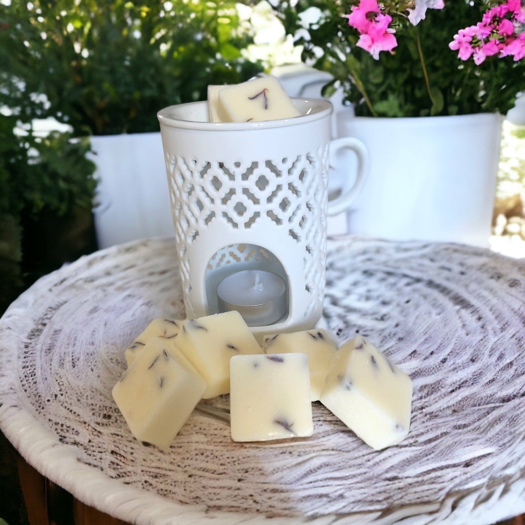 Molecule Home Fragrance - Wholesale Wax Melt - Wax Melt Starter Gift Set6