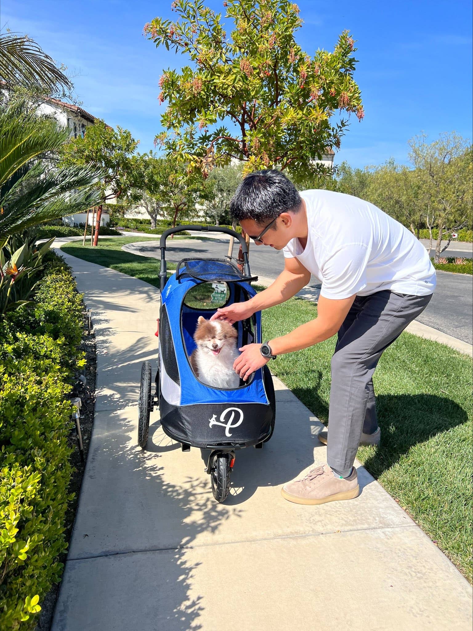 Petique - Wholesale Pet Carrier - Cat/Dog - Trailblazer Pet Jogger22