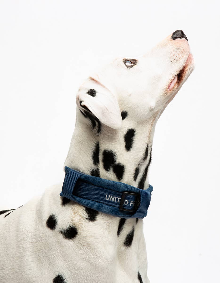 United Pets - Wholesale Pet Leash - Dog - Imbracatura imbottita morbida per cani in jeans8