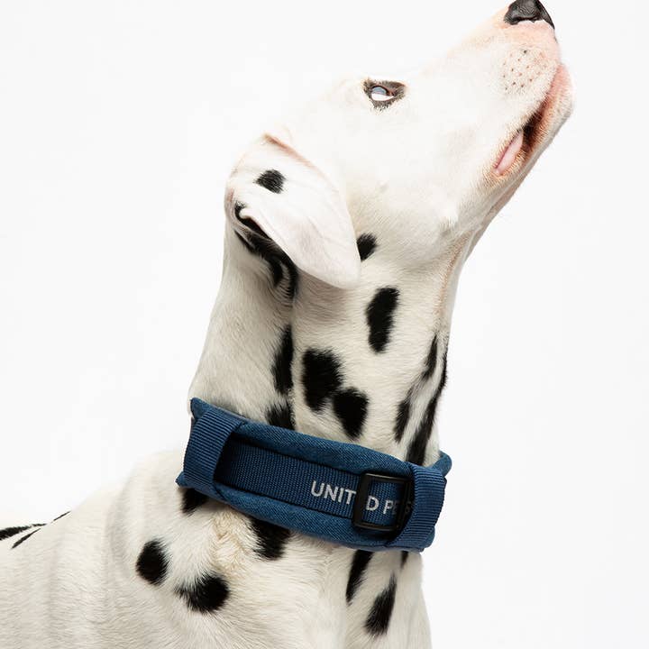 United Pets - Wholesale Pet Leash - Dog - Imbracatura imbottita morbida per cani in jeans8