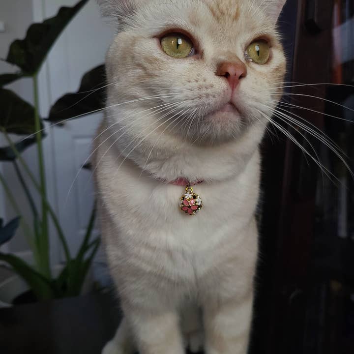 MOON-X USA, INC. - Wholesale Pet Collar - Cat - Chirimen Sakura Cat Collar (Pink)3