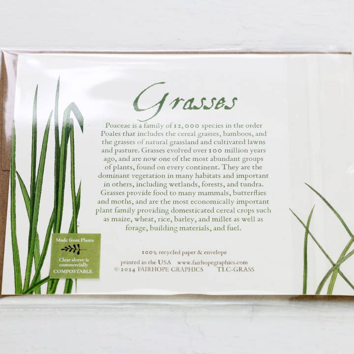 Fairhope Graphics - Wholesale Everyday Greeting Card - Grasses Card2