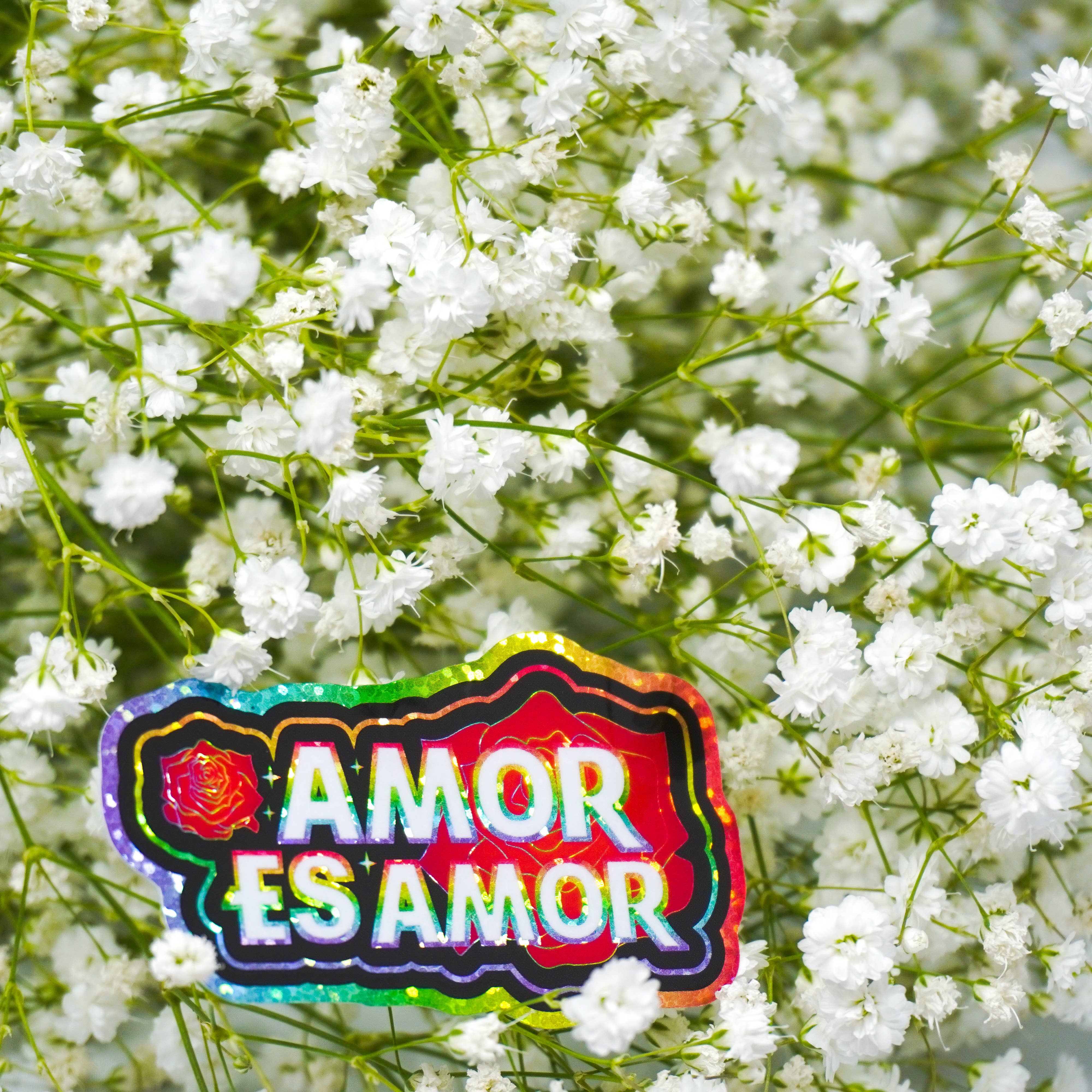 PARTIMEWORKS - Wholesale Sticker - Amor es Amor 3" Sticker8