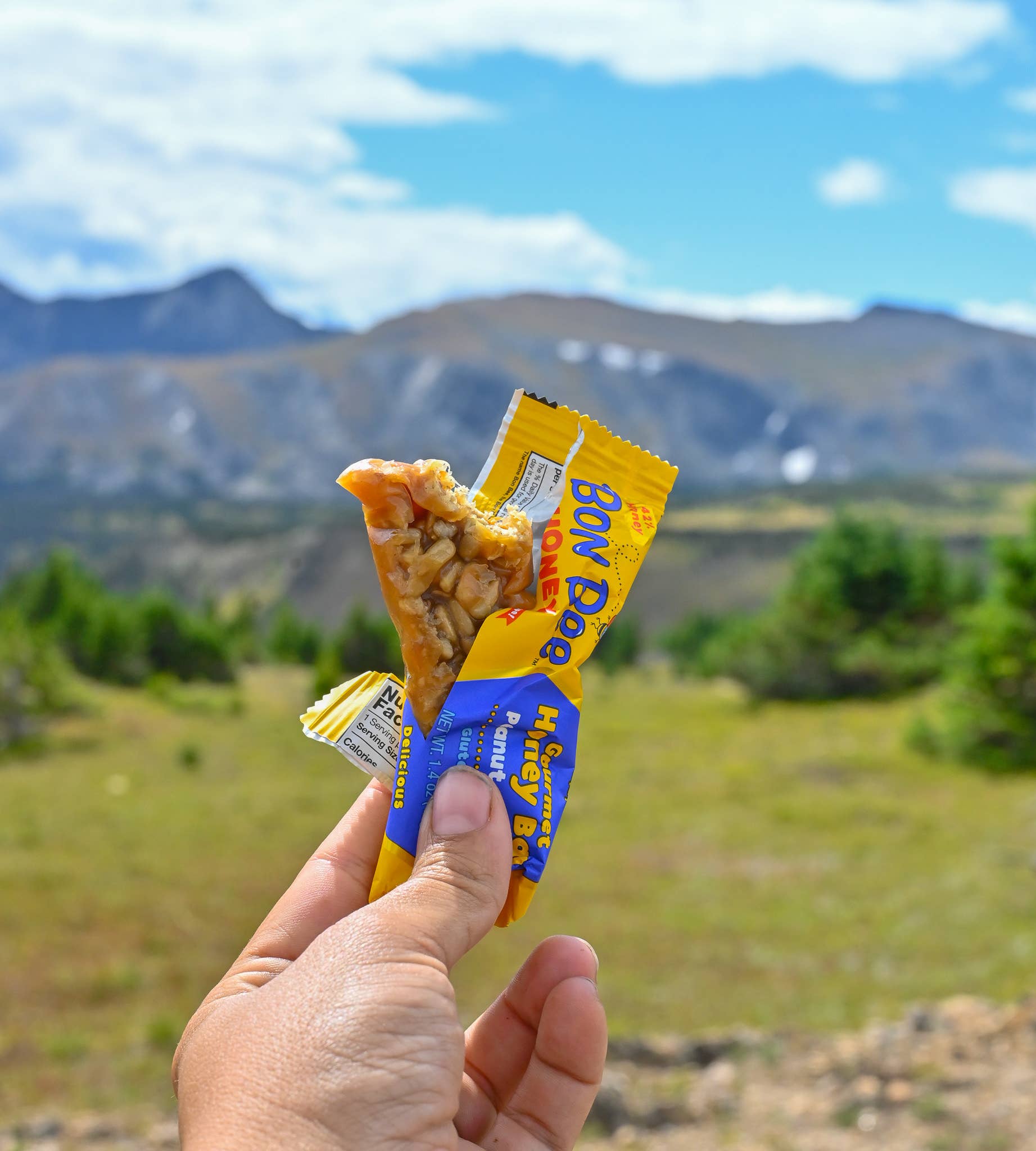 Honey Bunchie, LLC - Wholesale Snack Bar - Bon Bee Gourmet Honey Bar, Peanut Pecan (4-Packs)6