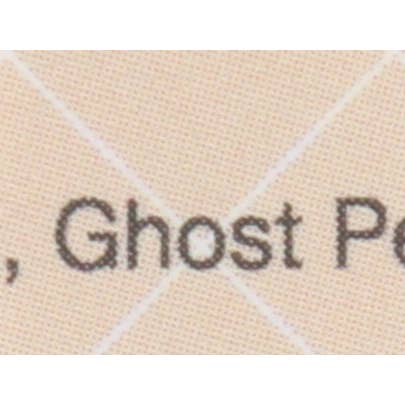 TBJ Gourmet - Wholesale Salt - Himalayan Ghost Salt2