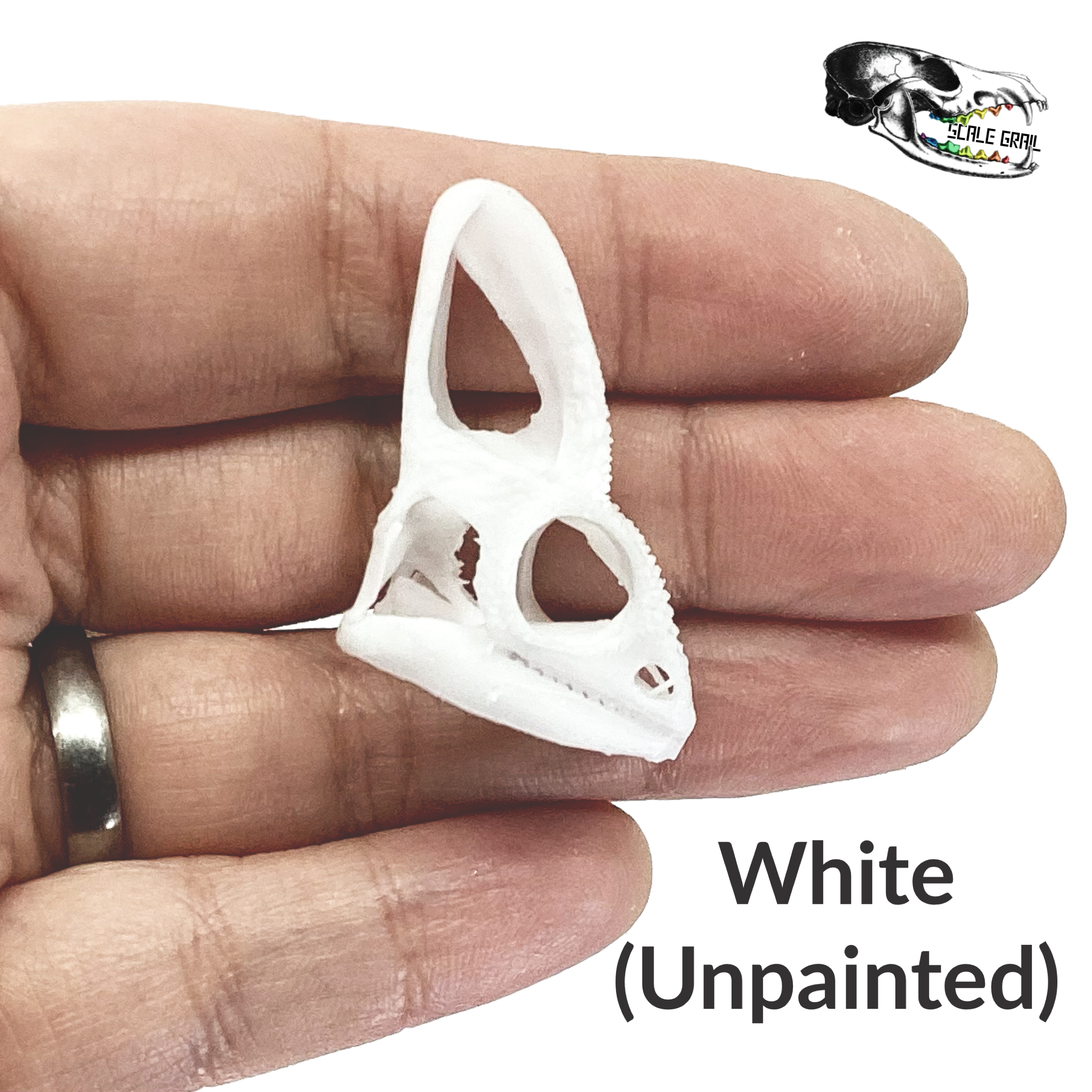 The Scale Grail - Wholesale Decorative Figurine - Chameleon Skull Replica - 1:1 Scale Size4