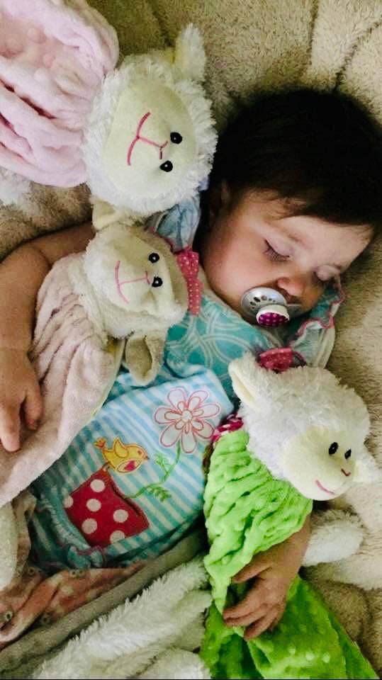 Fat Rat Family - Wholesale Security/Cuddle Blanket - Baby - Cow Orange3