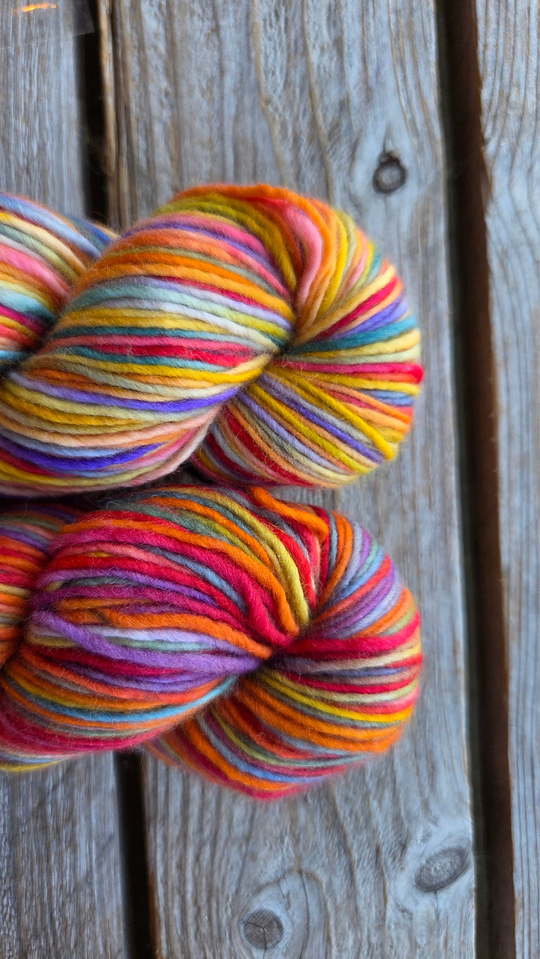 Koigu Wool Designs - Wholesale Yarn - Cheers DK/Worsted2