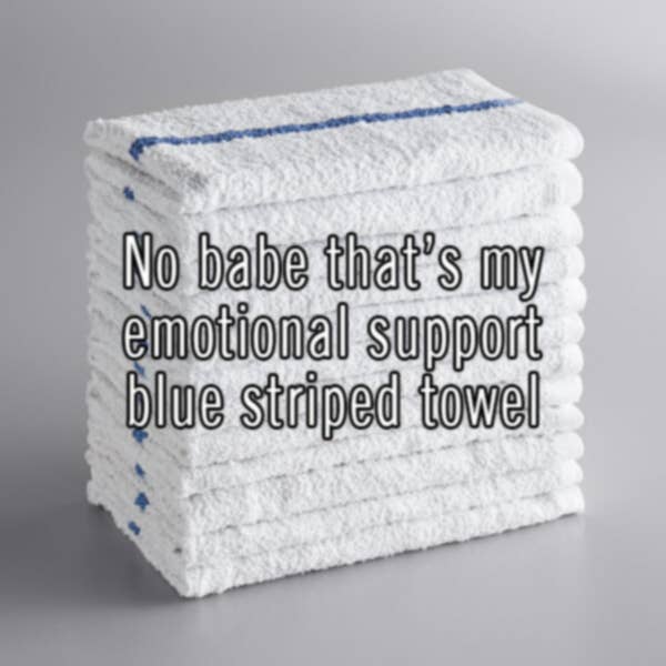 Mover & Shaker - Wholesale Lapel Pin/Button - Emotional Support Towel Pin