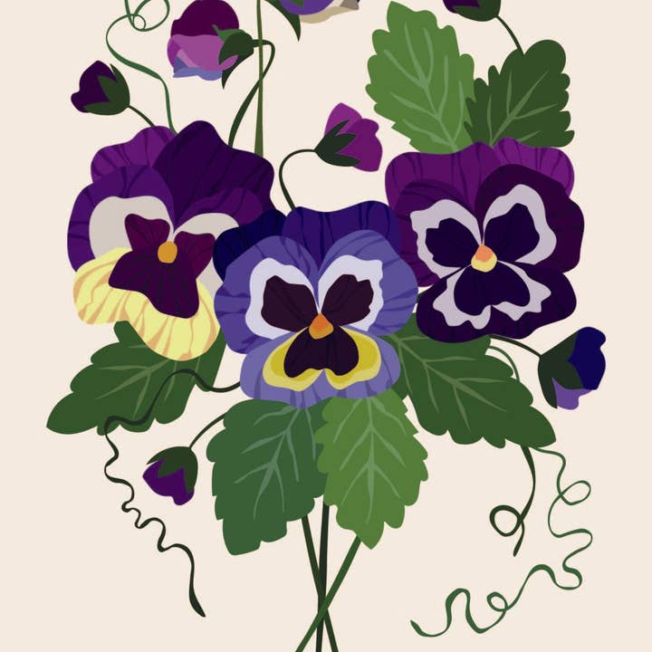 Joanne de Pace Design Studio - Wholesale Art Print - 'Pansy' Flower Art Print