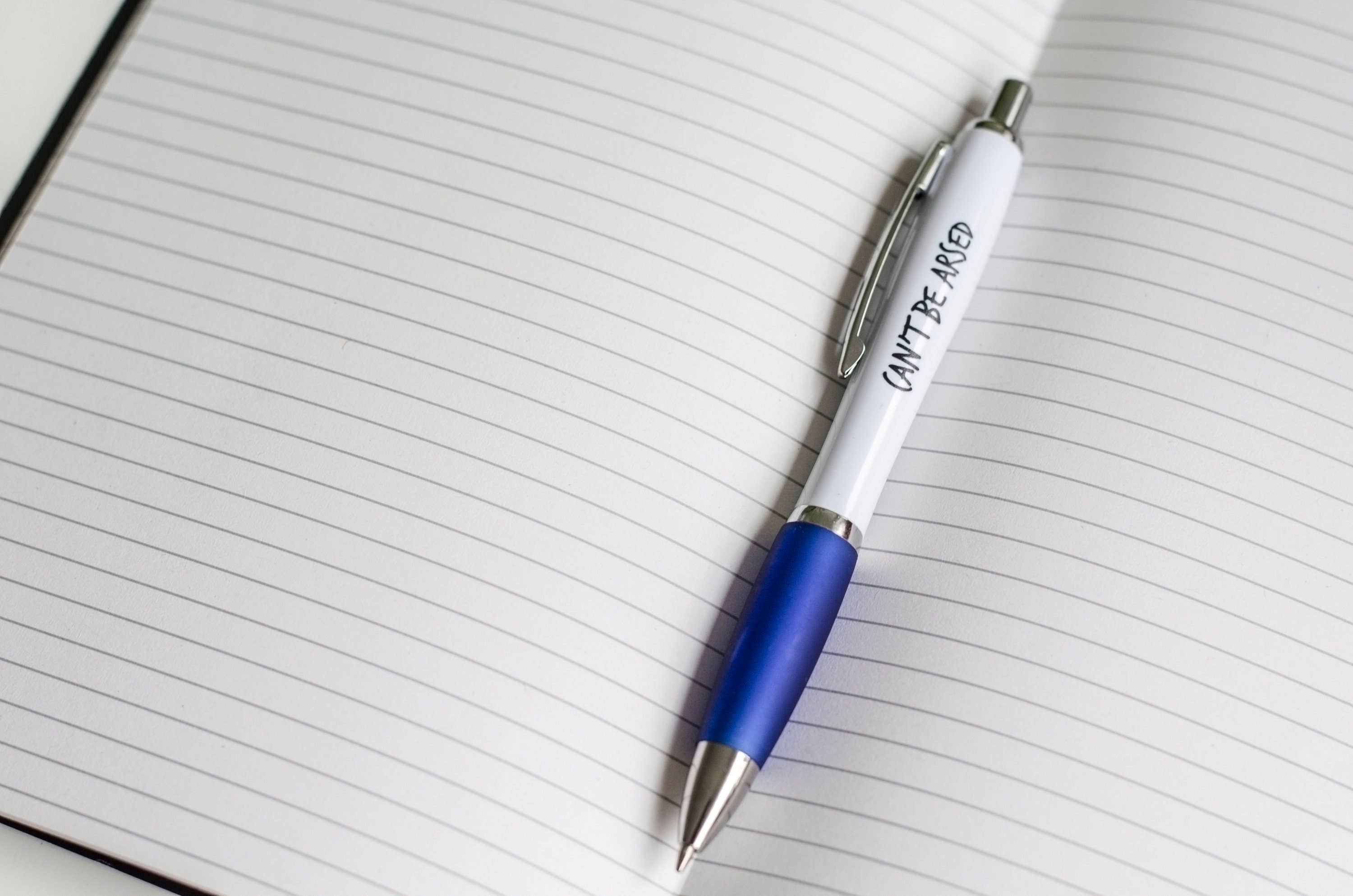 F Bomb Designs – Großhandel Stift – SWEARY STIFTE//Can't Be Arsed//Lustige unhöfliche Stifte2