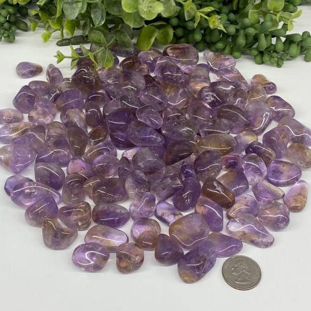 Meraki Gemstones - Wholesale Spiritual Stone/Crystal - Ametrine Tumbled (25-30mm) Semi-Precious Stone 0.5kg/1.1lbs4