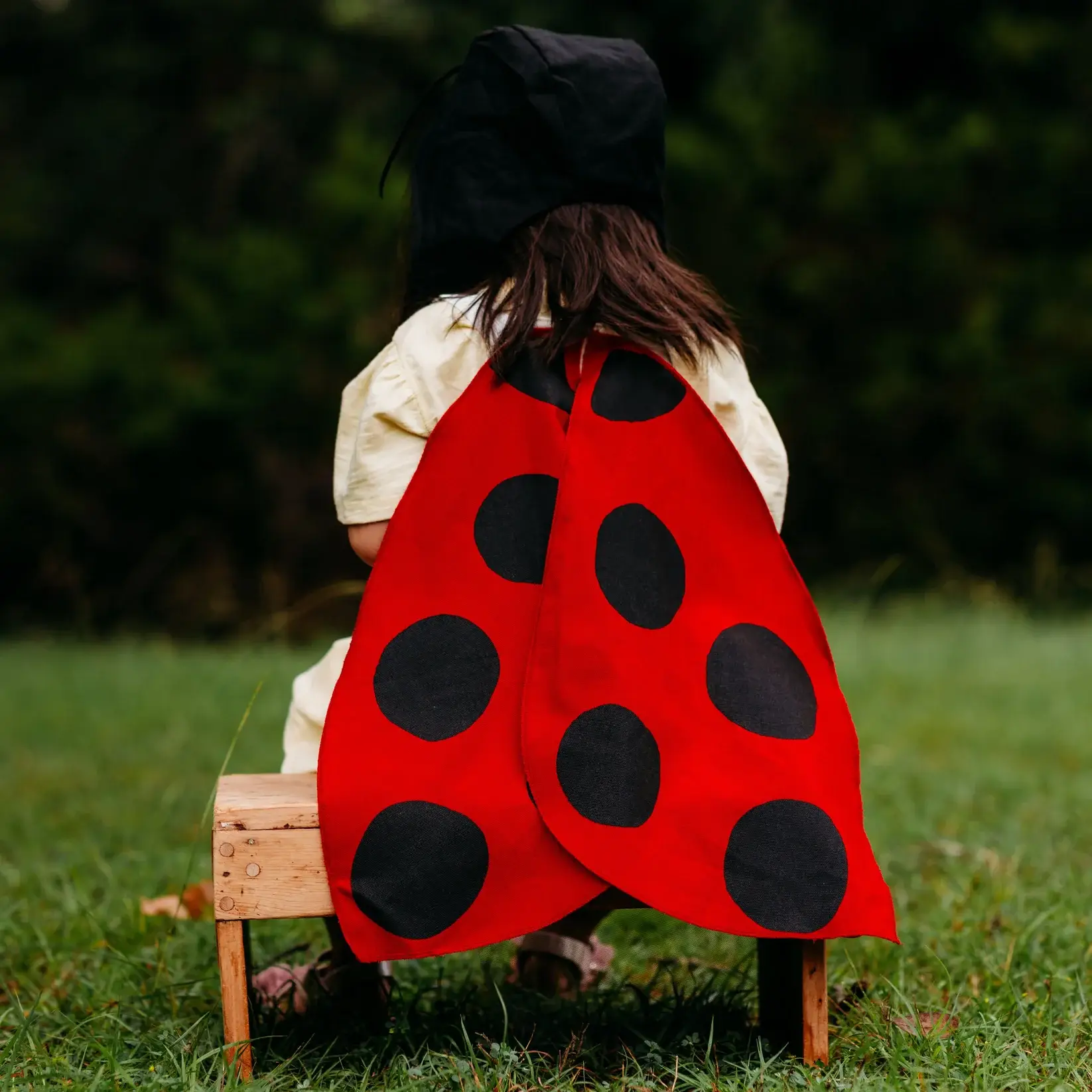 Jack Be Nimble – wholesale Costume – Child – Ladybug Costume Wings1