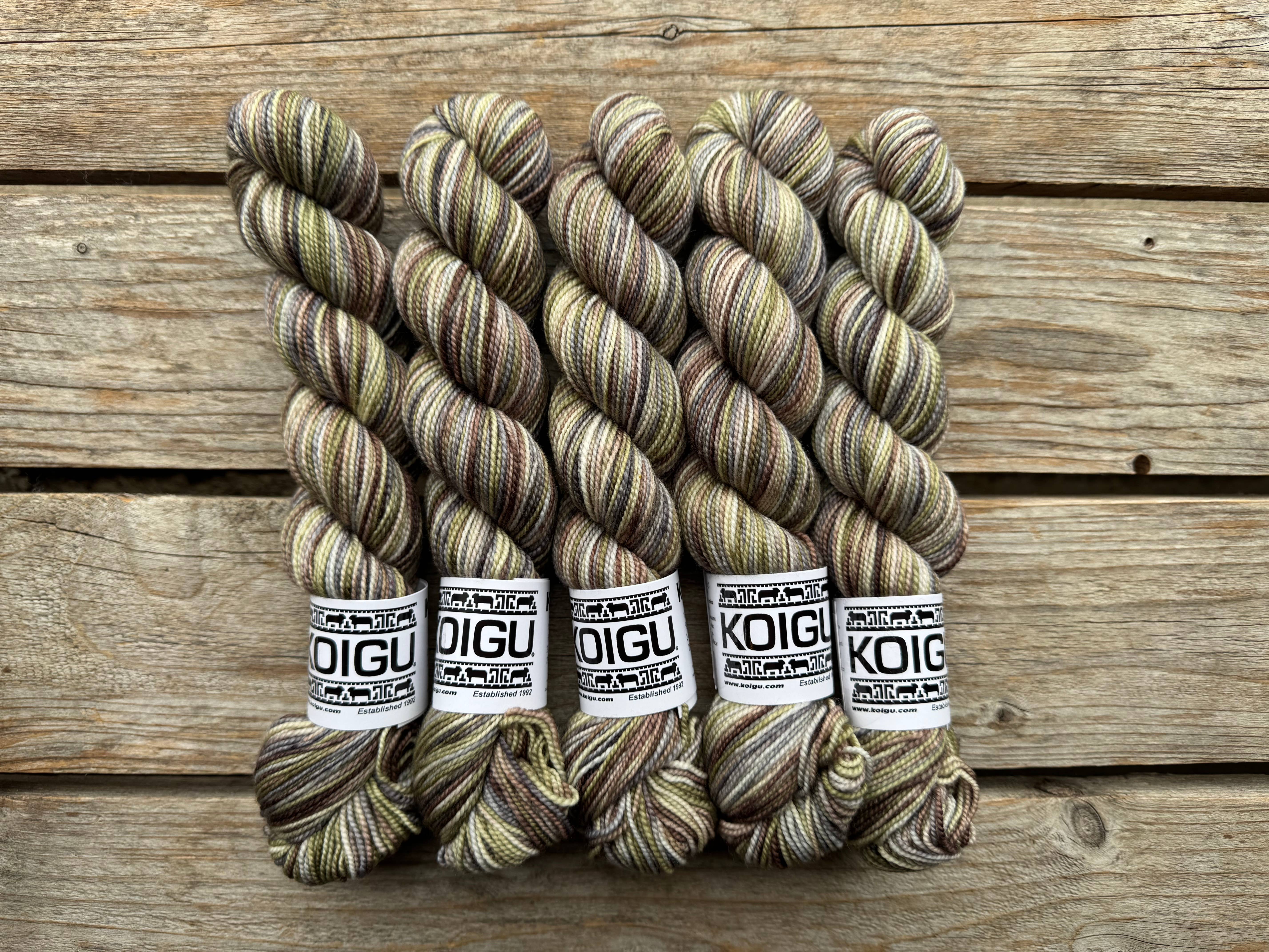 Koigu Wool Designs – wholesale Yarn – Heritage Palette Series KPPPM35