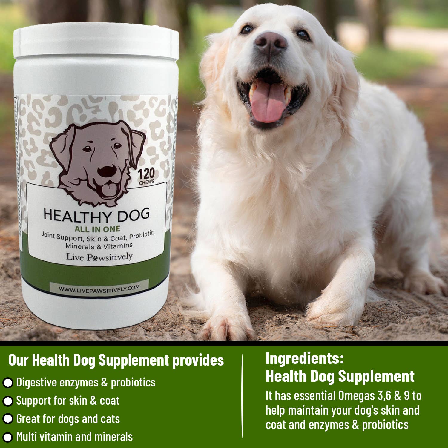 Live Pawsitive - Vente Compléments alimentaires – chien - Complément alimentaire à mâcher pour chien Healthy Dog All in One, fabriqué aux États-Unis3