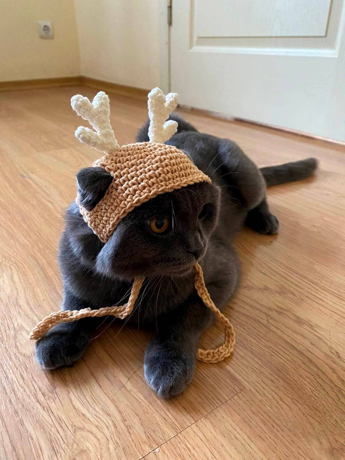 FairyBabyGifts – Engroshandel Kæledyrskostume – Kat – Kat hat med hjorte horn jul kat kostume Catlover gave1