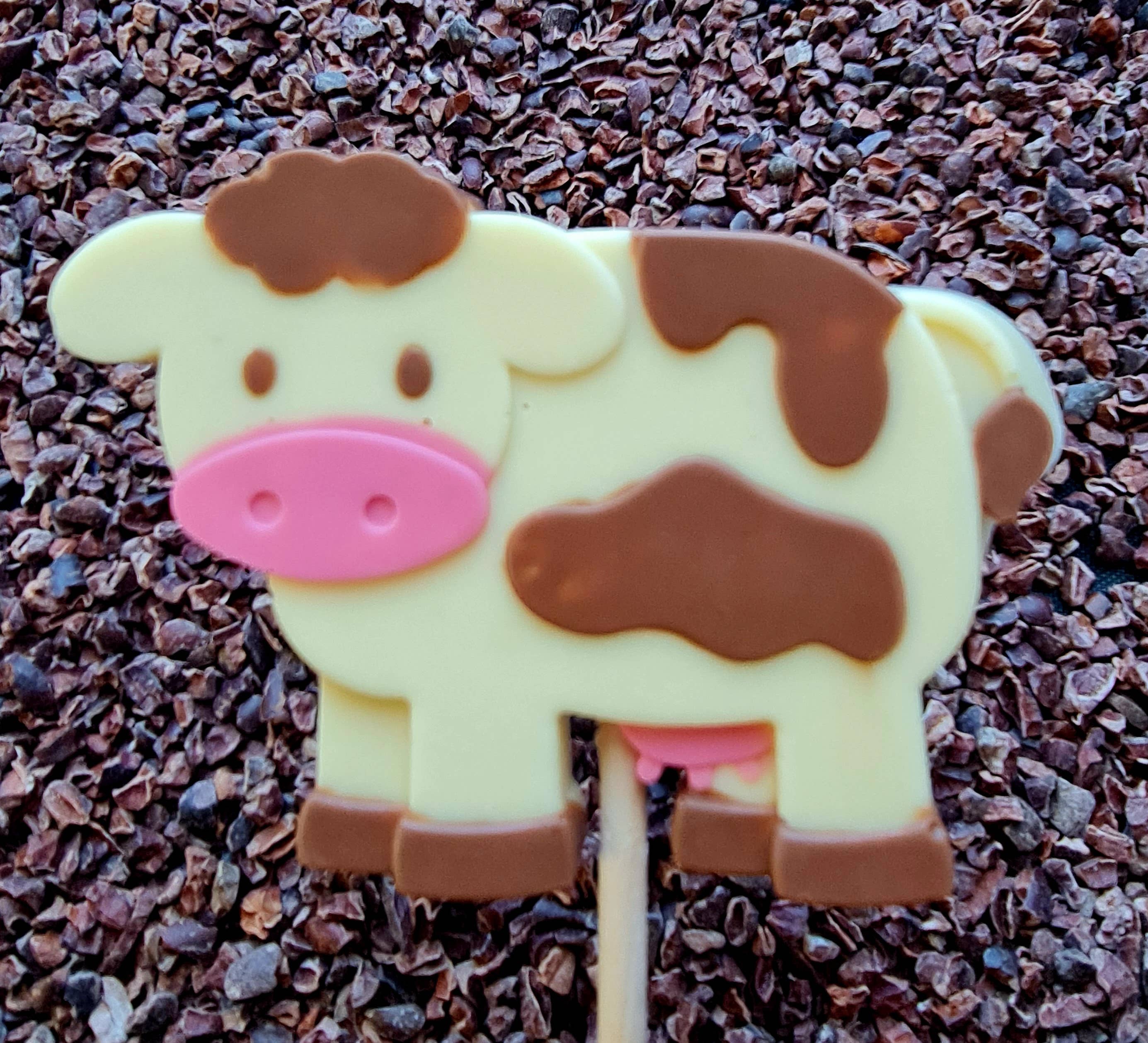 Cwtsh Chocolate - Wholesale Lollipop - Dotty cow chocolate lolly4