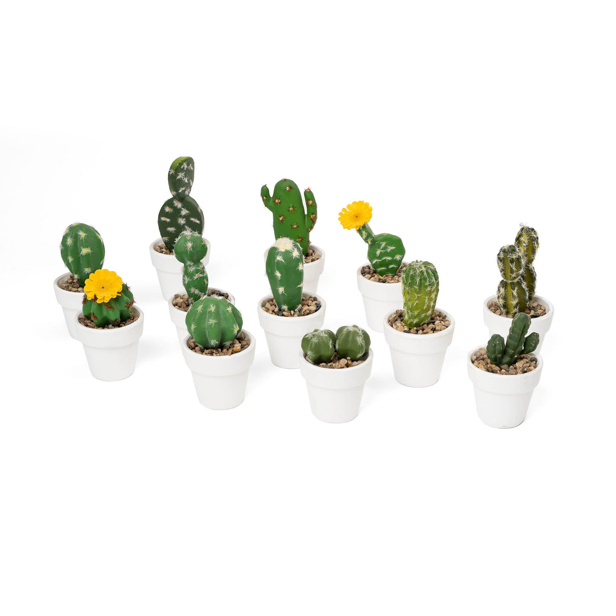 Portofino International Trading, USA - Wholesale Artificial Plant - Artificial Assorted Potted Cactus - Set of 122