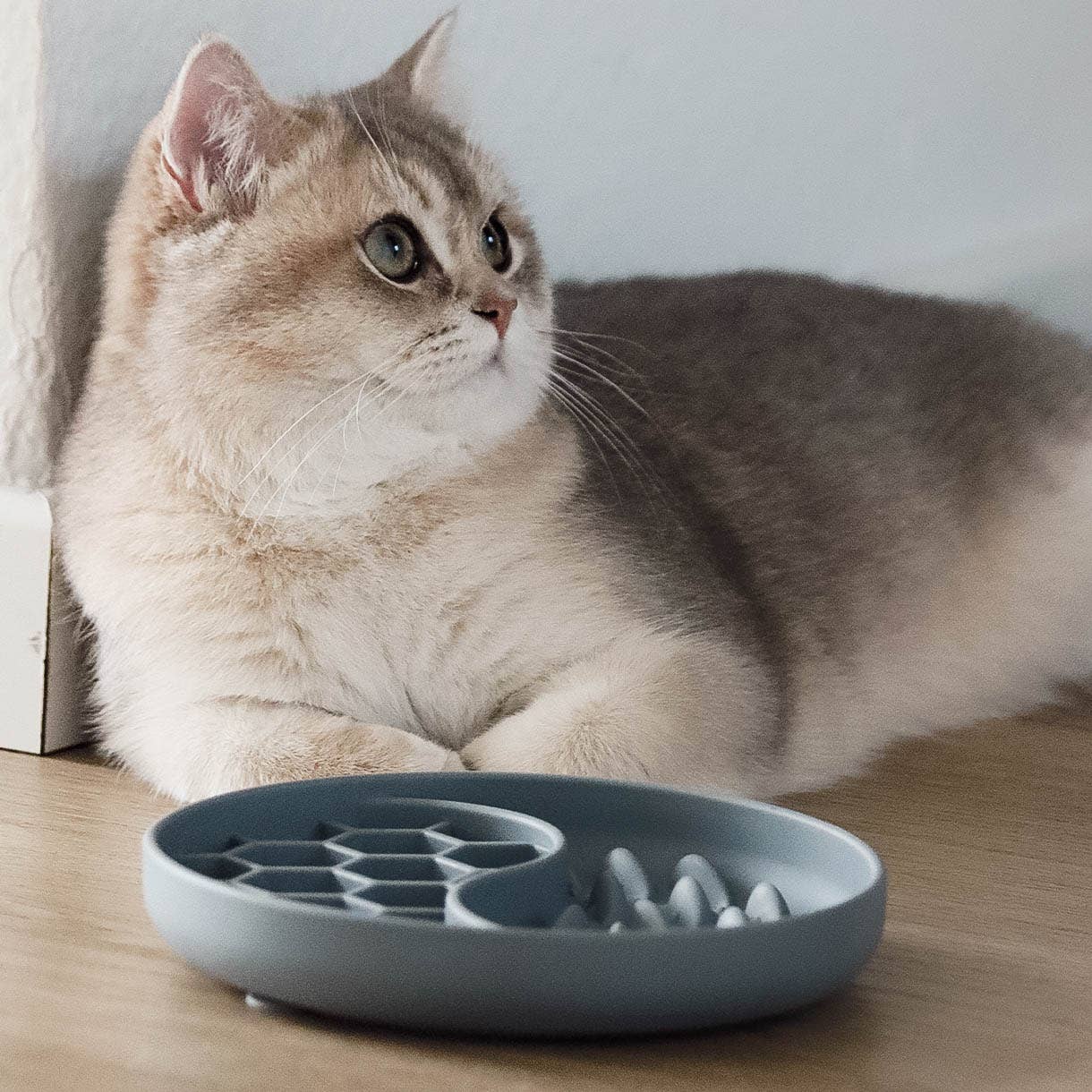 ne&no - Wholesale Pet Bowl - Cat/Dog - ne&no® Anti-Gulping Bowl / Licking Dish for Dogs & Cats11