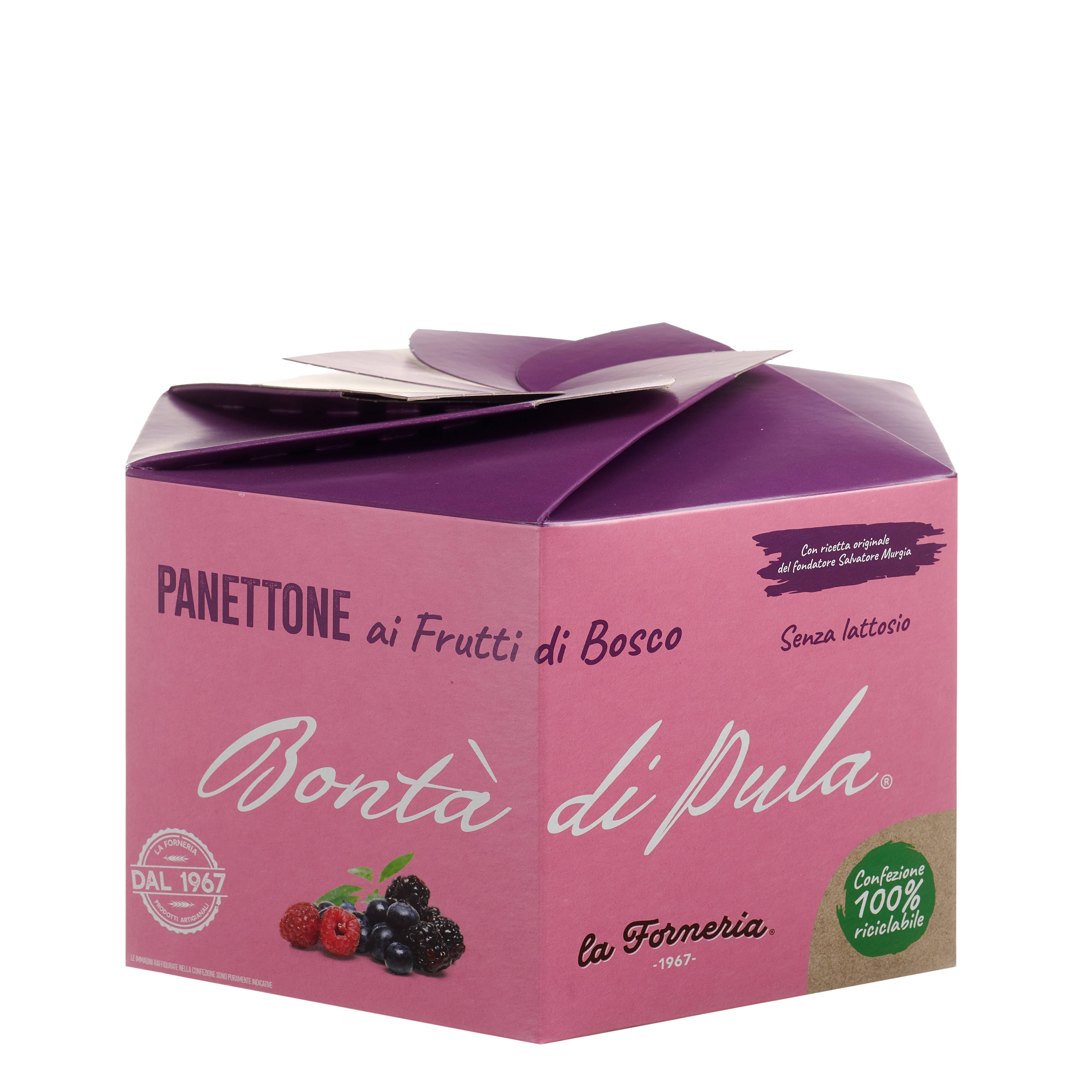 La Forneria di Pula - Wholesale Cake - Bessen Panettone 750 g5