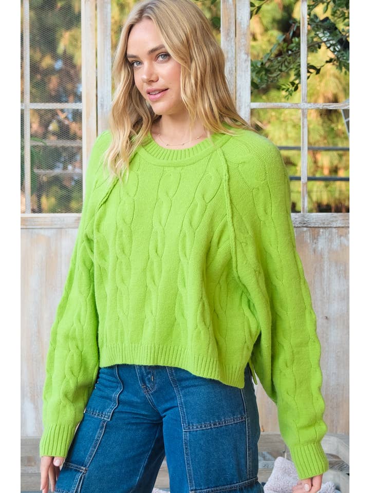 Nicabel - Wholesale Knit Sweater - Women's - Plus raglan sleeve cable knit sweater-PSW94198