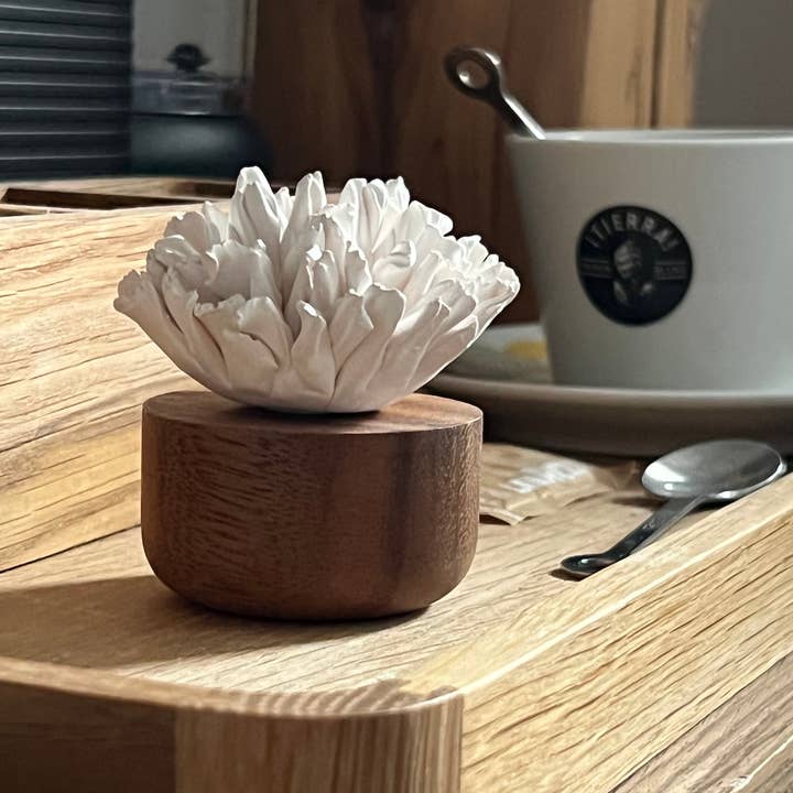 Anoq - Venta al por mayor Difusores de palitos - Difusor de perfume - Clavel de Japón - Ambientador8