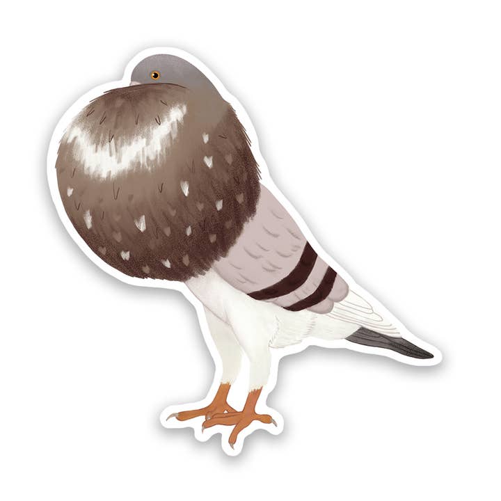 Norwich Cropper Pigeon Vinyl Sticker Decal for wholesale by Proper Wolf