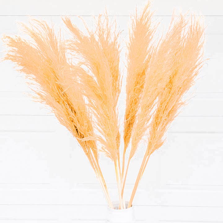 X-Large, Extra Fluffy Pampas (3ft) - Apricot/Peach (668) for wholesale by BLOOMINGFUL.COM
