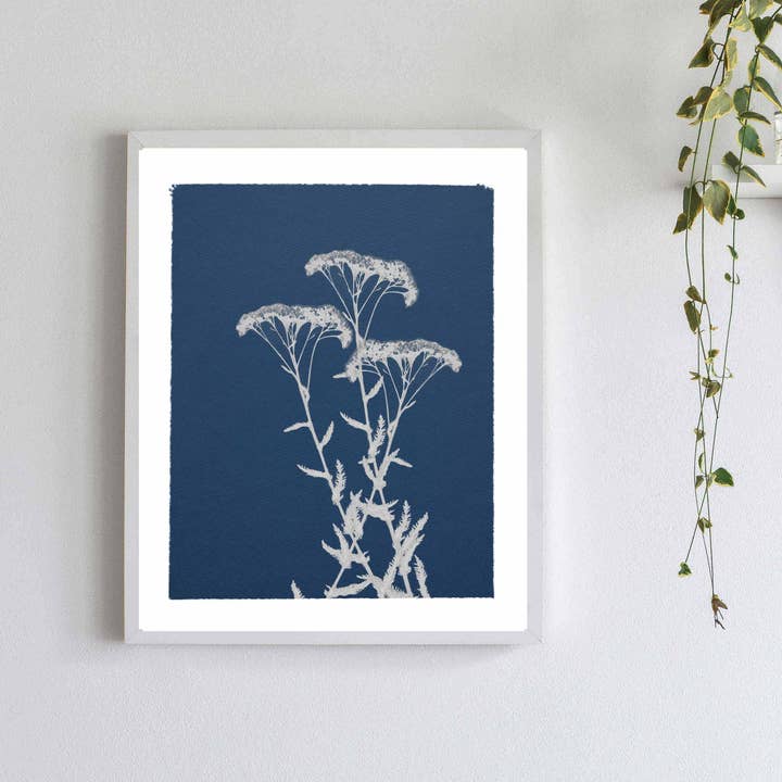 Impression botanique cyanotype - Fleurs de millefeuille sur fond bleu pour la vente par Little Green Herbaria