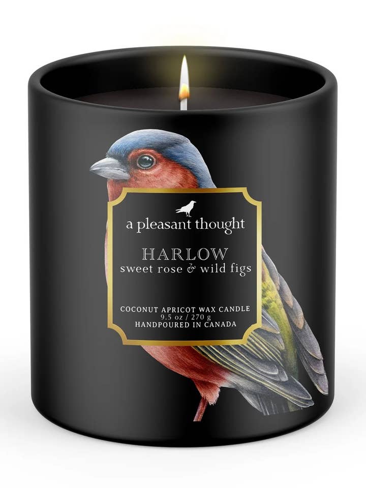 HARLOW | SWEET ROSE & WILD FIGS | RAVEN CANDLE for wholesale by A Pleasant Thought