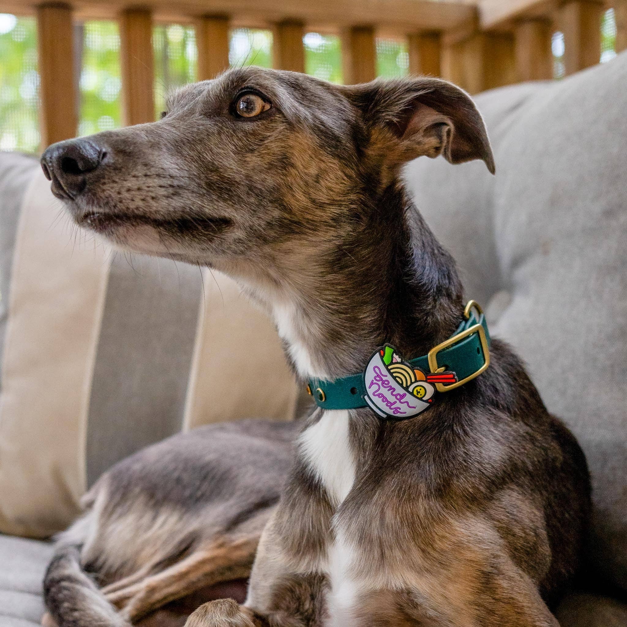 Jiby Dog Crew - Vente Breloque de collier – chat et chien - Envoyez des nouilles Jiby Charm pour chien1