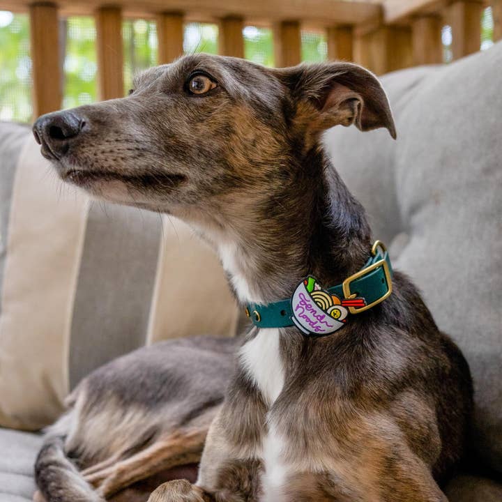 Jiby Dog Crew - Vente Breloque de collier – chat et chien - Envoyez des nouilles Jiby Charm pour chien1