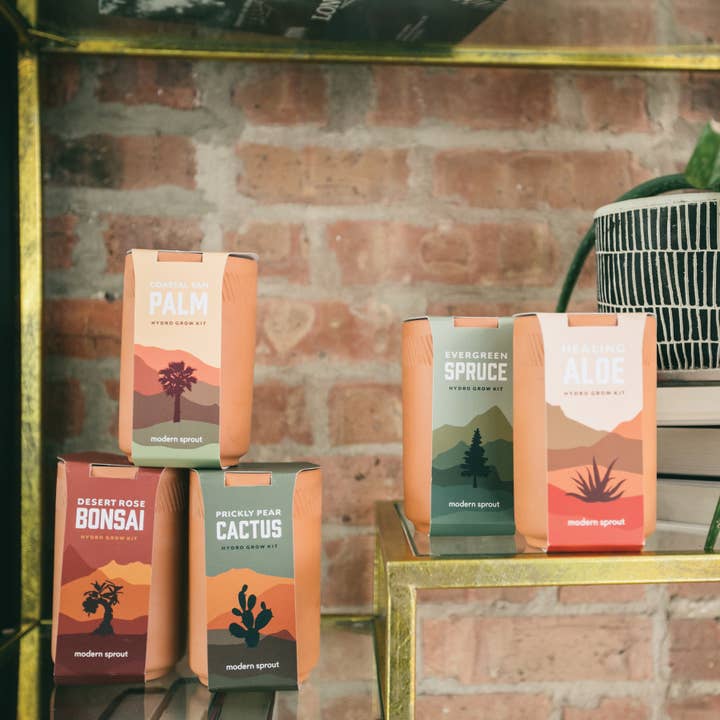 Modern Sprout - Wholesale Plant Seeds - Terracotta Grow Kit