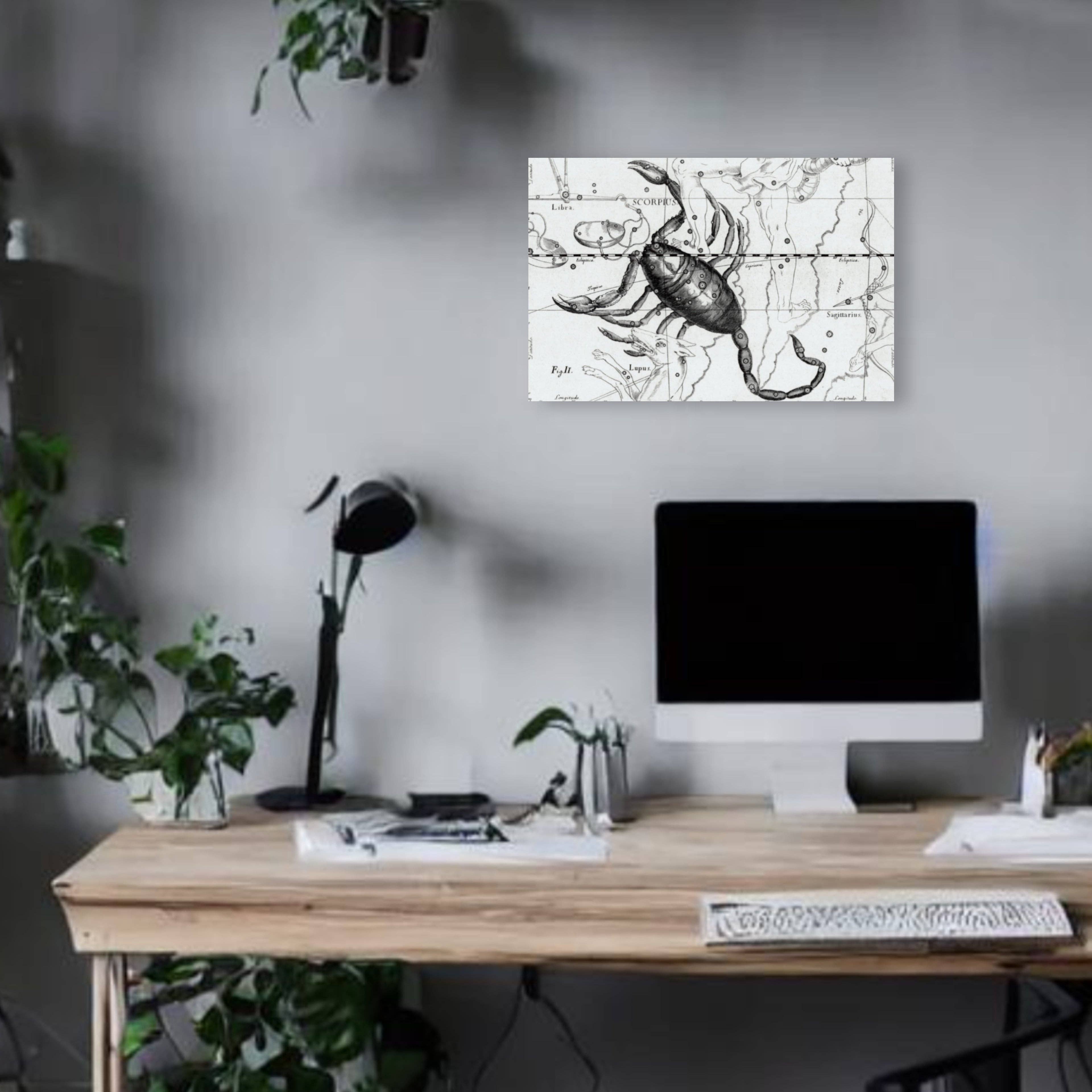 Print Pothecary - Wholesale Art Print - Scorpio Astrology Canvas Print - Apothecary Art for Home or Office - Apothecary Decor0