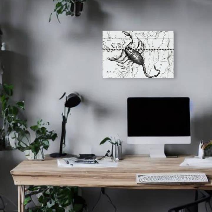 Print Pothecary - Wholesale Art Print - Scorpio Astrology Canvas Print - Apothecary Art for Home or Office - Apothecary Decor