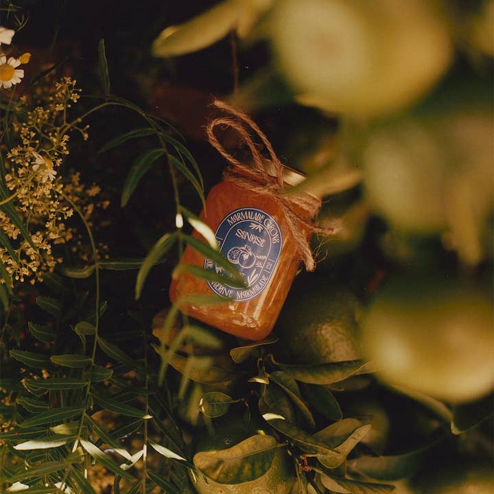Marmalade Grove - Wholesale Jam/Jelly - "Sunrise" Pixie Tangerine Marmalade