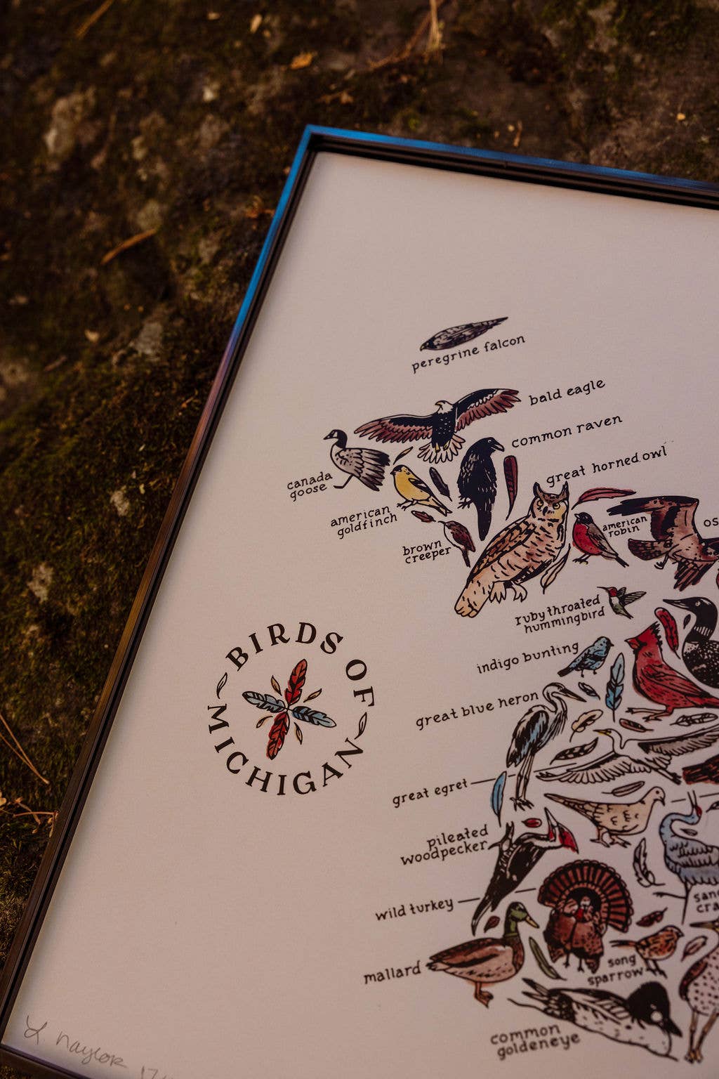 Home Squirrel - Wholesale Art Print - Birds of Michigan Watercolor Art Print3