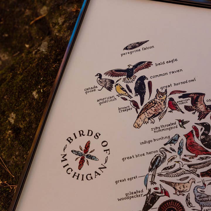 Home Squirrel - Wholesale Art Print - Birds of Michigan Watercolor Art Print3