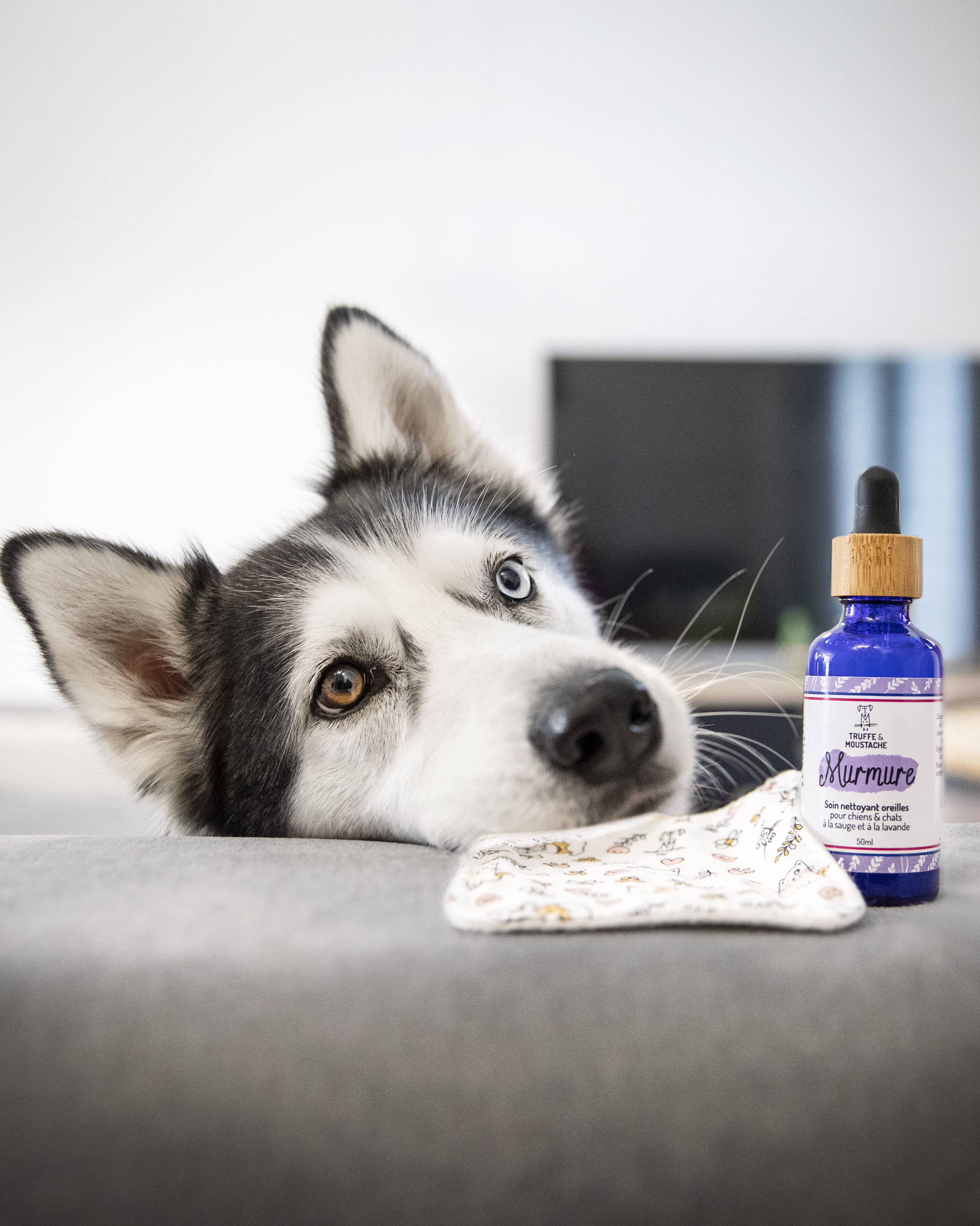 Truffe & Moustache - Vendita all'ingrosso Prodotti per la pulizia degli animali - Detergente auricolare naturale al 96% per cani e gatti, « Whisper »11