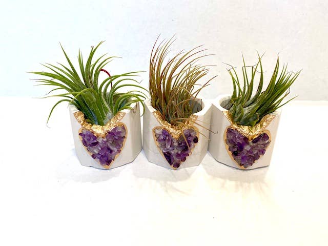Plant One On Me Designs - Wholesale Plant pot - Amethyst HEART Geode Planter w/ Air Plant - Air Plant Holder2