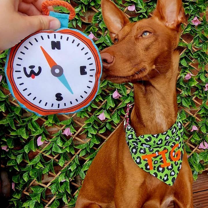 WufWuf - Wholesale Piepspeeltje - Hond - WufWuf Compass, piepend pluche hondenspeelgoed4