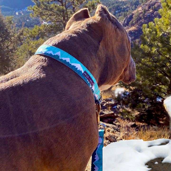 Snowcap Mountains Wintergreen (collars and accessories) for wholesale on Faire3