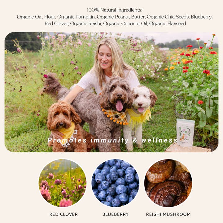 Botanical Bones - Wholesale Pet treats – Dog - Flower Power Cookies - All Natural, Organic Dog Treats 3