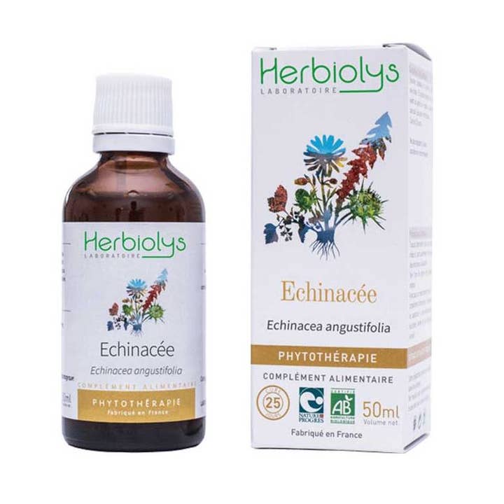 Echinacea Phytotherapy for wholesale by Herbiolys