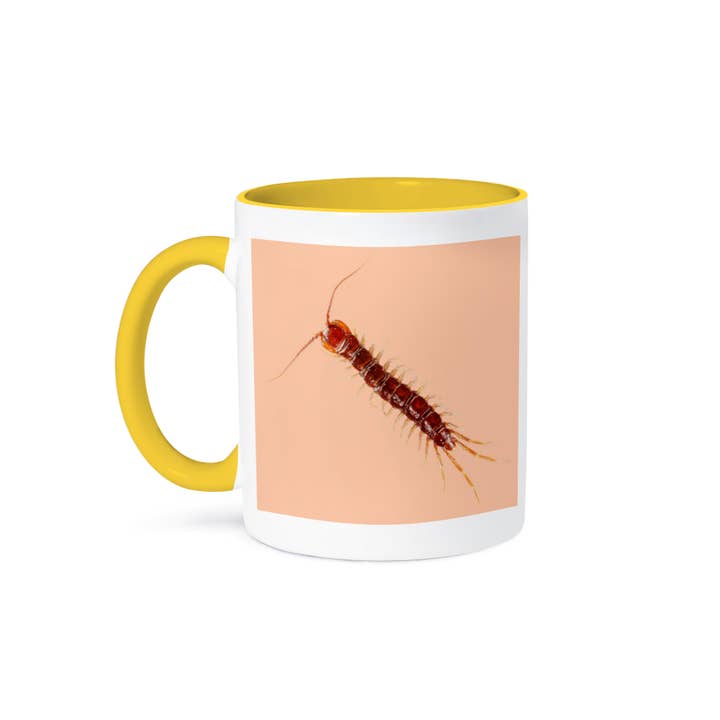 3dRose - Wholesale Coffee Mug - 3dRose, Centipede, picture of a centipede on an orange background, Mug