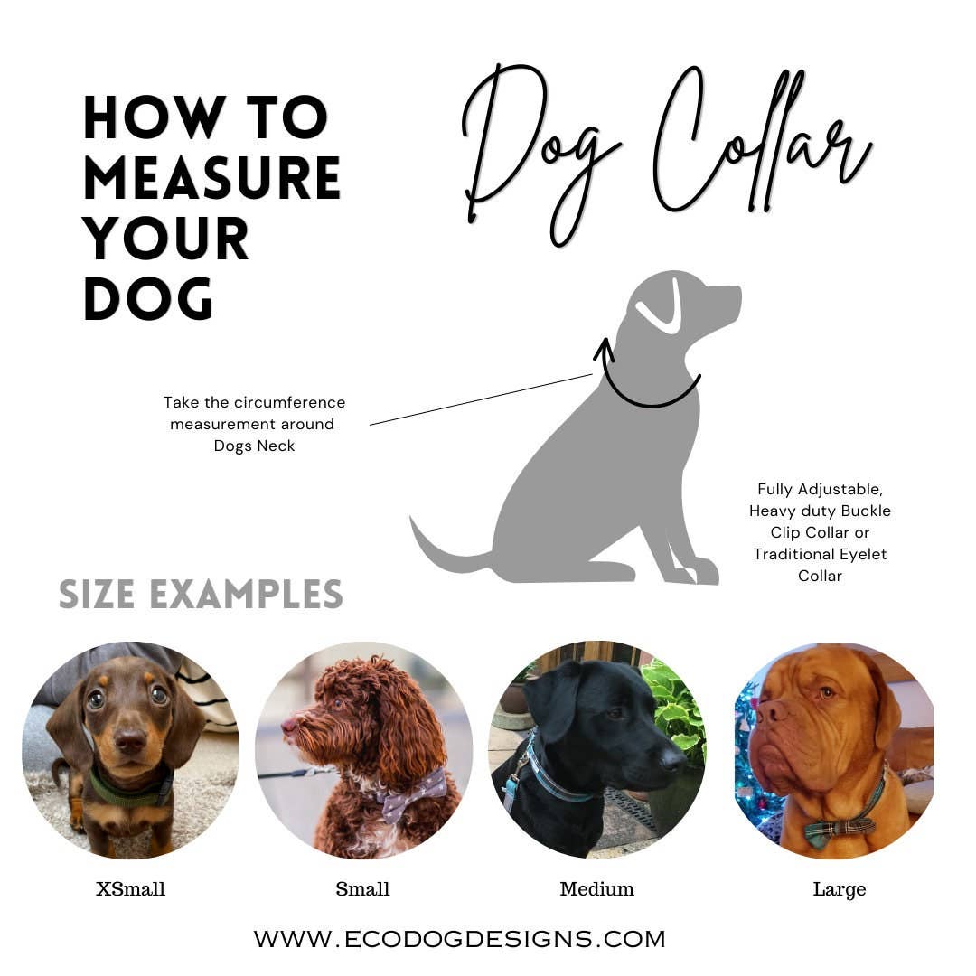 EcoDogDesigns – wholesale Pet collar – Dog – Union Jack Dog Collar7