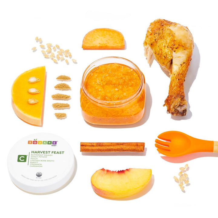 Square Baby - Wholesale Baby Food - Harvest Feast2