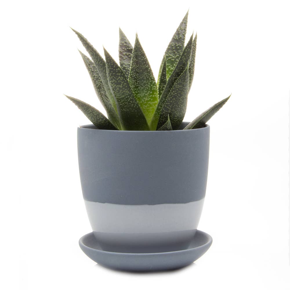 Chive Canada - Vente Pot - Dyad Pots de Plantes et Jardinières de 3 Pouces avec Trou de Drainage2
