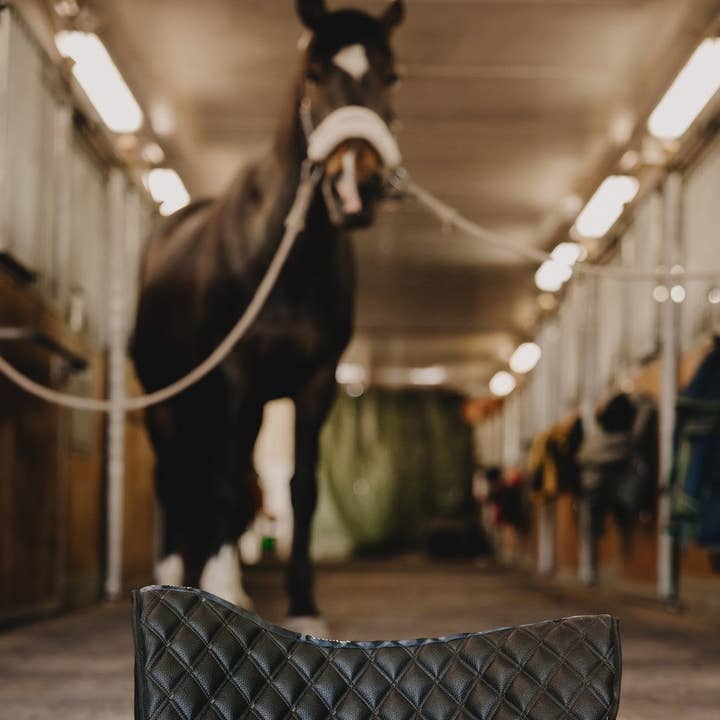 Tampon en laine et autres tendances Résultats pour matériel équitation en vente B2B. Retours gratuits et paiement à 60 jours sur Faire sur Faire.